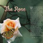 The Rose Butterfly Green Branch Art Poem Unique Inspirational Gift
