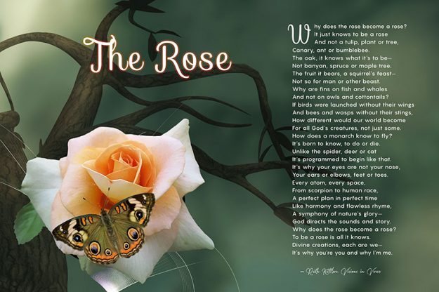 "The Rose" Inspirational Green Branch Butterfly Art Poem Gift
