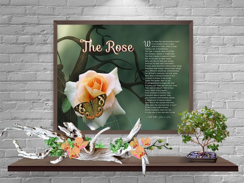 The Rose Art Poem Spiritual Gift About God's Perfect Plan