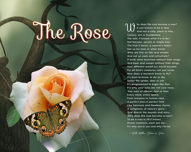 The Rose Butterfly Green Branch Art Poem Unique Inspirational Gift