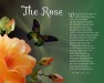 The Rose Peach Flower Art Poem Unique Spiritual Gift