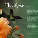 The Rose Peach Flower Art Poem Unique Spiritual Gift