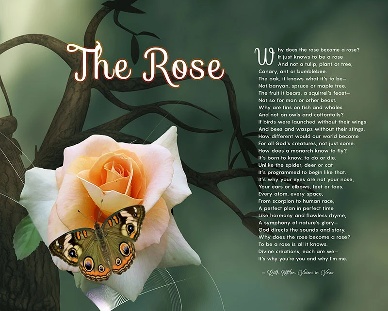The Rose Butterfly Green Branch Art Poem Unique Inspirational Gift